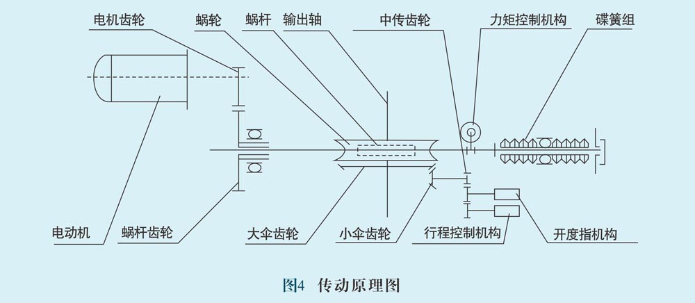 蓝月亮精选料兔费大全