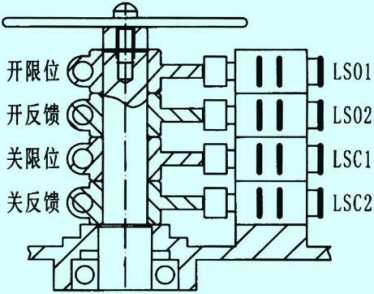 蓝月亮精选料兔费大全